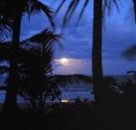 Sejala Beach Huts - Accommodation Cooktown