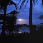 Sejala Beach Huts - Accommodation Cooktown 0