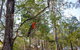 Kalimna Woods Cottages - thumb 2