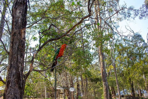 Kalimna Woods Cottages - Accommodation Cooktown 2