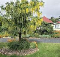 Hamlet Downs Country Accommodation - Accommodation Cooktown