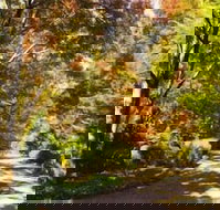 Chalets Lumineux - Accommodation Cooktown