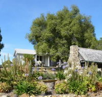 Sassafras Springs - Accommodation Cooktown