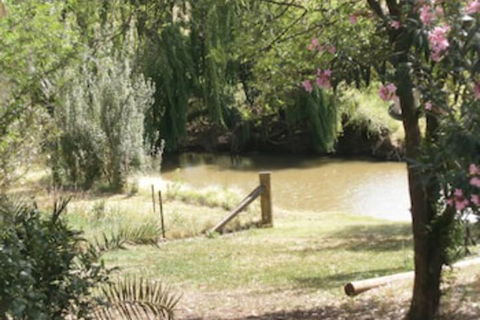 Kellys Motel Oakey - Accommodation Cooktown 5