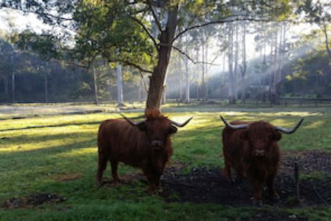 Dingley Dell - Accommodation Cooktown 0
