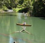 Figtree Getaway - Accommodation Cooktown