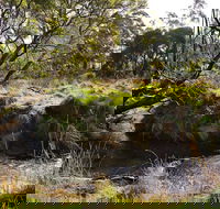 Green Gully House - Accommodation Cooktown