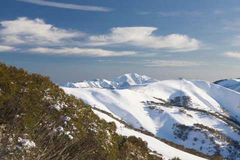 Absollut - Accommodation Cooktown 5