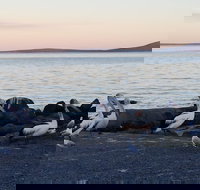 Hilton Motel - Accommodation Cooktown