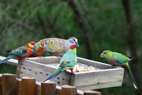 Honeymoon View - Accommodation Cooktown 5