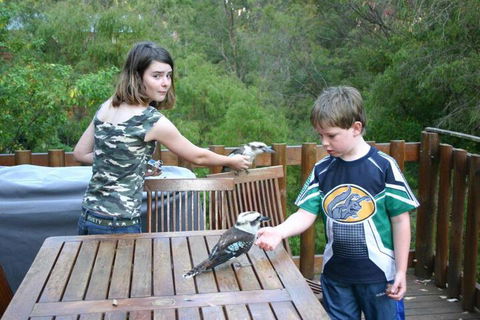 Honeymoon View - Accommodation Cooktown 2