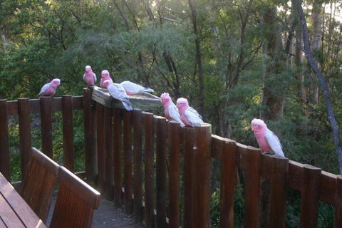 Honeymoon View - Accommodation Cooktown 3
