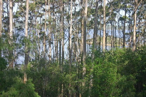 Honeymoon View - Accommodation Cooktown 7