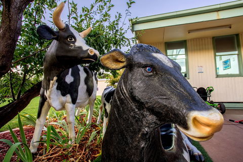 Big4 Shepparton Park Lane - Accommodation Cooktown 0
