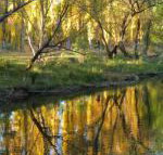 On The Banks - Accommodation Cooktown