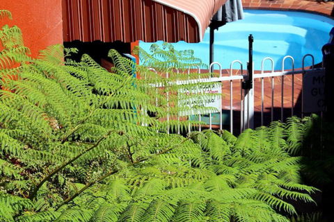 Matilda Motel - Accommodation Cooktown 3