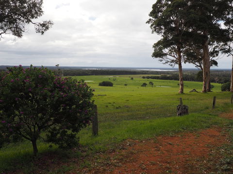 Augusta Sheoak Chalets - Accommodation Cooktown 5