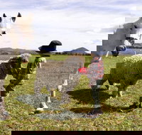 Taras Richmond Farmstay - Accommodation Cooktown