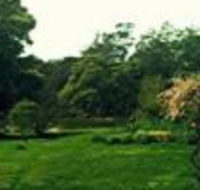 Birdwing Bed  Breakfast Weegena - Accommodation Cooktown