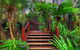 Maleny Tropical Retreat Balinese B&b - thumb 0