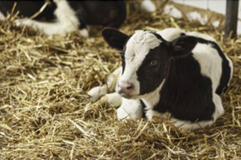 Seymour Motel - Accommodation Cooktown 7