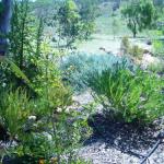 Northampton WA Accommodation Cooktown