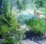 Old Miners Cottages Bed  Breakfast - Accommodation Cooktown