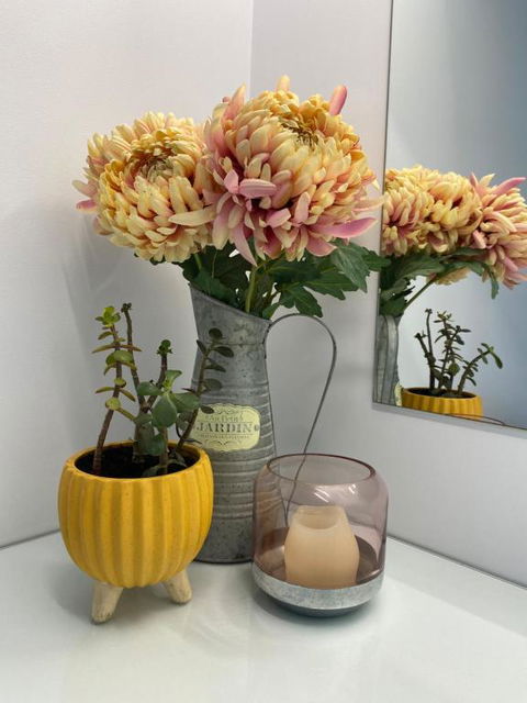 McCaffreys Estate - Accommodation Cooktown 5