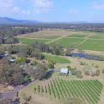 McCaffreys Estate - Accommodation Cooktown 0