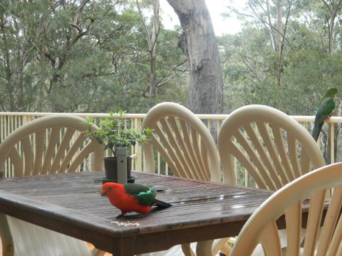 Aqua Vista - Accommodation Cooktown 4