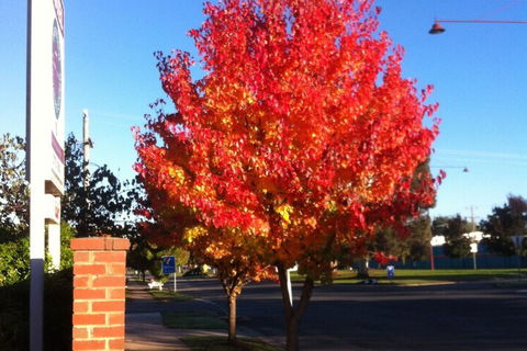 Mansfield Traveller's Lodge - Accommodation Cooktown 2