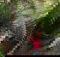 12 Apostles Cottages - Accommodation Cooktown