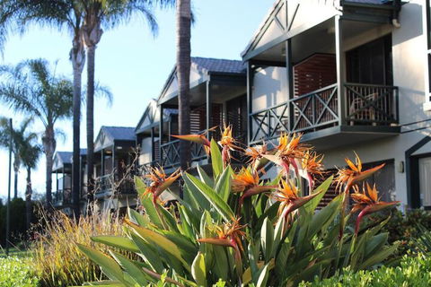 Renmark Hotel Motel - Accommodation Cooktown 1