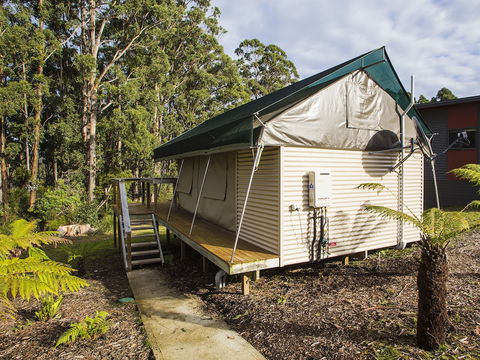 NRMA Port Arthur Holiday Park - Accommodation Cooktown 4