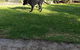 Captains Cottage Bed & Breakfast - thumb 3