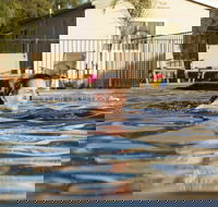 Riverside Cabin Park - Accommodation Cooktown