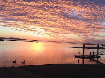 Sunbird Gardens - Accommodation Cooktown 4