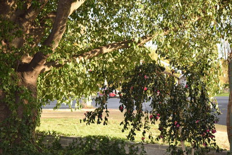 Alkira Motel - Accommodation Cooktown 4