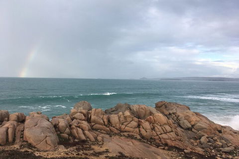 Lazy Days Bed & Breakfast Cottage - Accommodation Cooktown 1