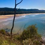 Umina NSW Accommodation Cooktown