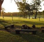 Wallaby Cottage cute Accom in bushland setting - Accommodation Cooktown