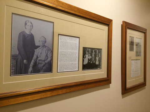 Eumundi Gridley Homestead B&B - Accommodation Cooktown 3