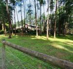 Fernglade on Menzies - Accommodation Cooktown