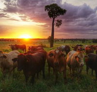 Myella Farm Stay - Accommodation Cooktown