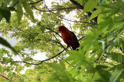 The Studio Yarra Valley - Accommodation Cooktown 7