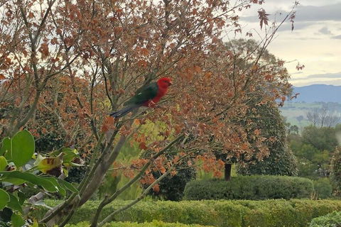 The Studio Yarra Valley - Accommodation Cooktown 4