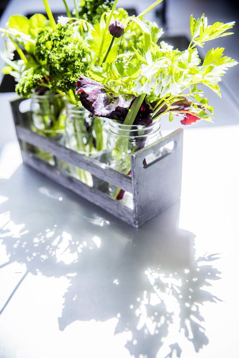 Alkina Lodge - Accommodation Cooktown 6