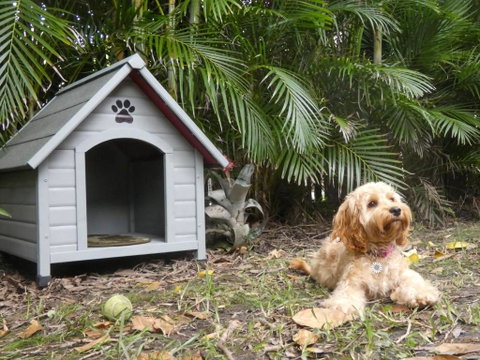 CHILL OUT BEACH HOUSE At FORSTER - Accommodation Cooktown 3
