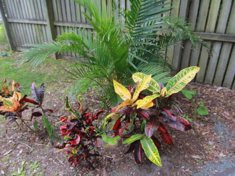 Beachside - Accommodation Cooktown 4