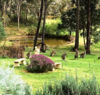 Countryside Connections Tranquil Studio - Accommodation Cooktown